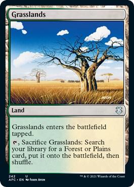 Grasslands 242 (Commander: Adventures in the Forgotten Realms) 