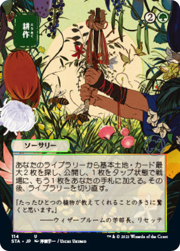Cultivate JP Alternate Art  114 (Strixhaven: Mystical Archives)  - Etched Foil