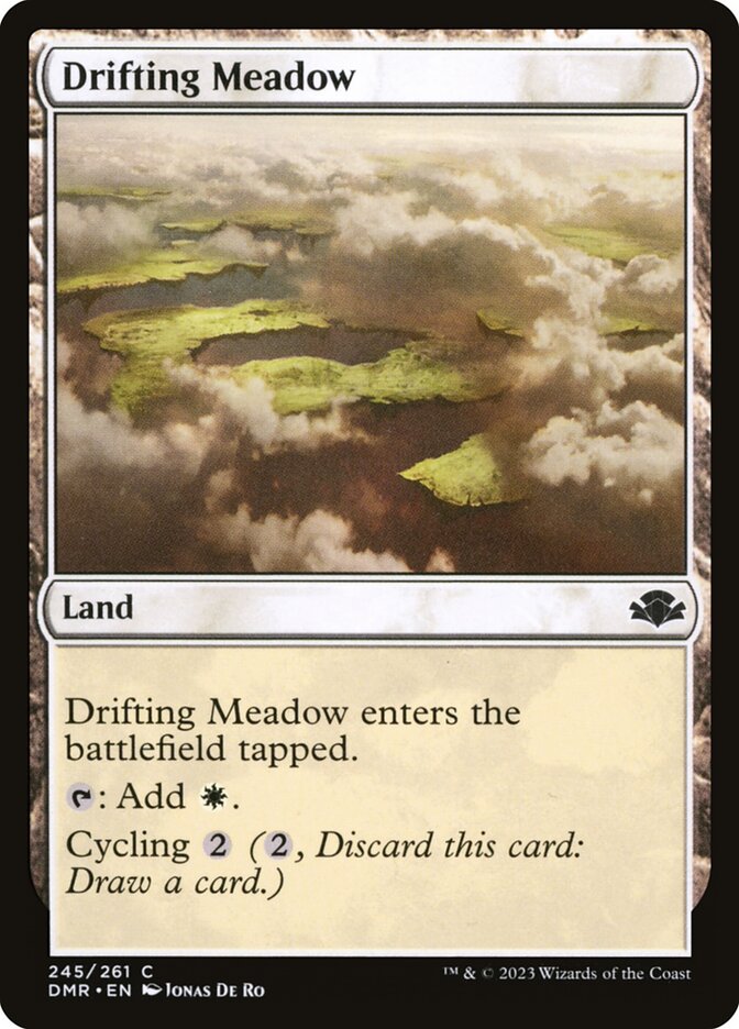 Drifting Meadow 245 (Dominaria Remastered) 