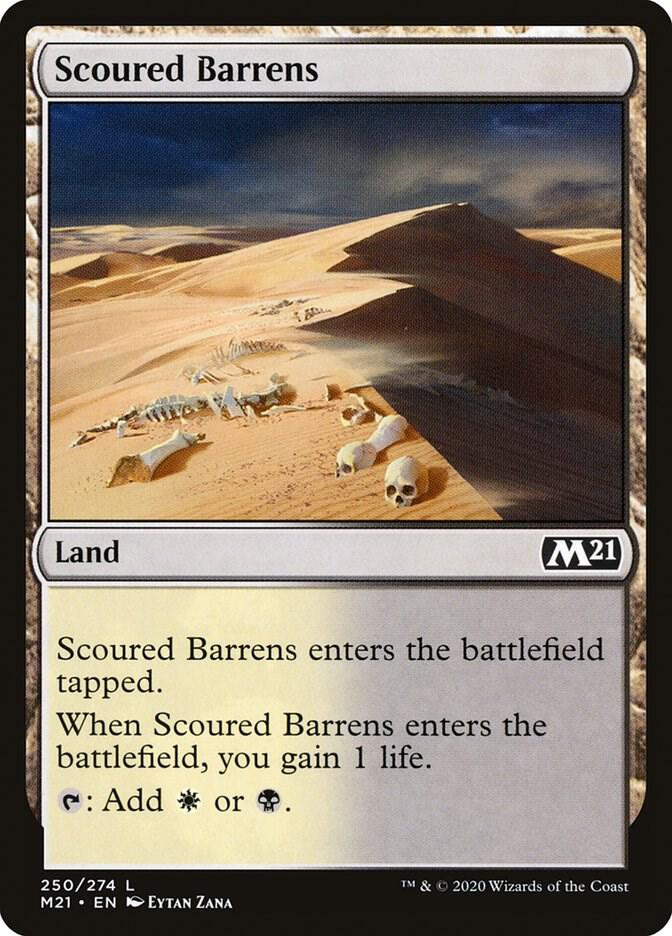 Scoured Barrens 250 (Core Set 2021) 