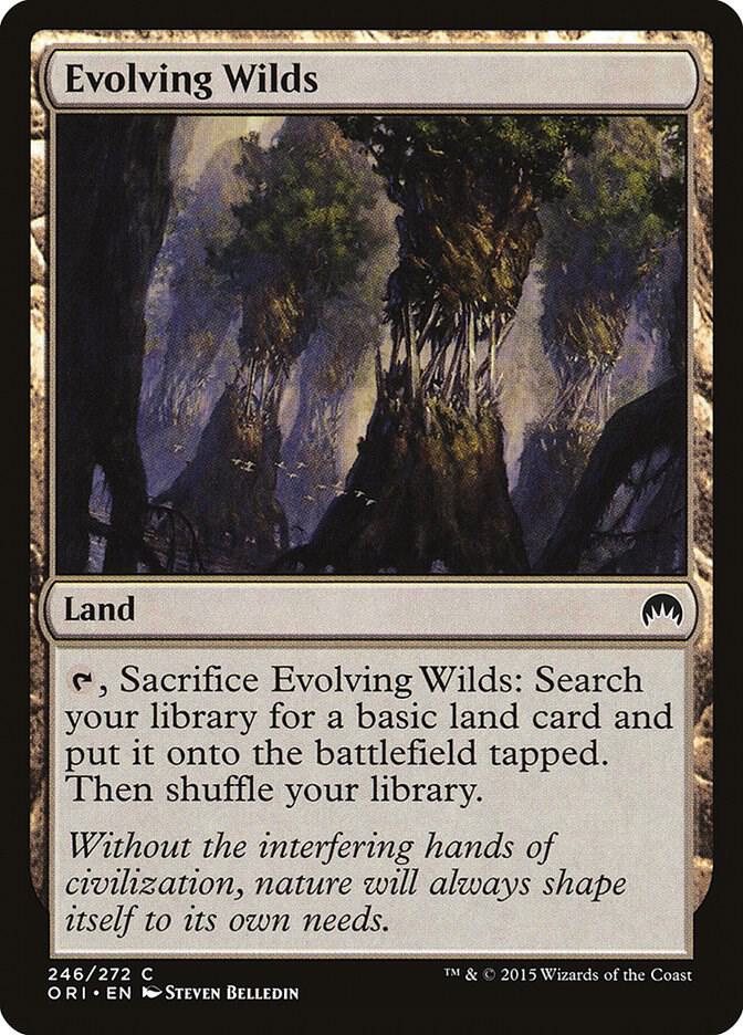 Evolving Wilds 246/272 (Magic Origins) 