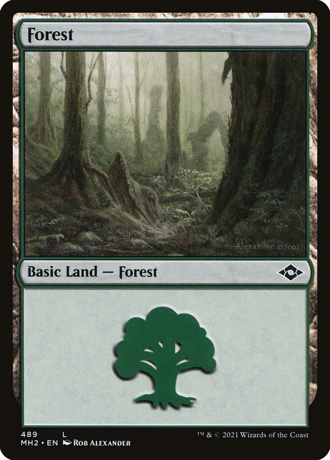 Forest 489 489 (Modern Horizons 2)  - Foil