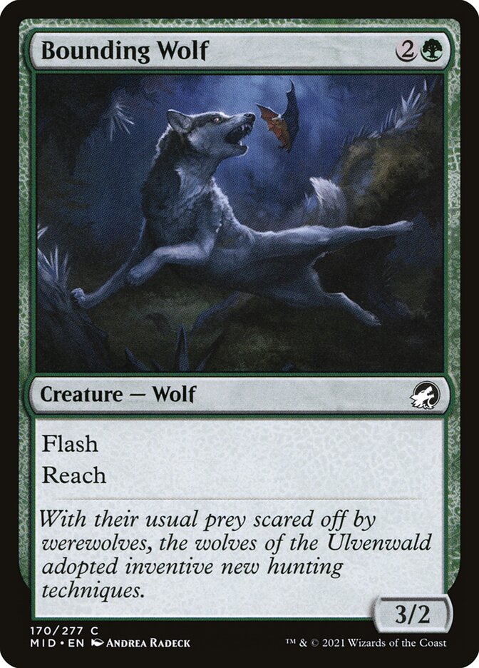 Bounding Wolf 170 (Innistrad: Midnight Hunt) 