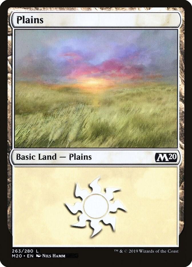 Plains 263/280 (Core Set 2020)  - Foil