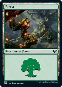 Forest 375 375 (Strixhaven: School of Mages)  - Foil