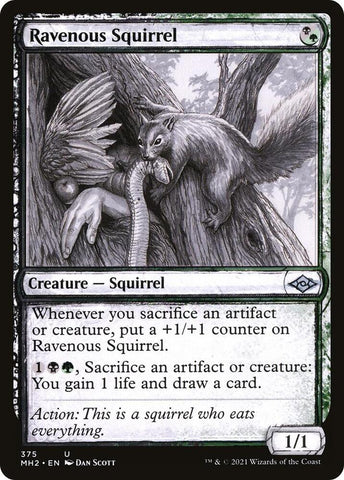 Ravenous Squirrel Showcase 375 (Modern Horizons 2)  - Foil