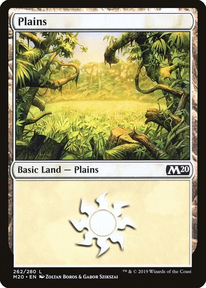 Plains 262/280 (Core Set 2020)  - Foil
