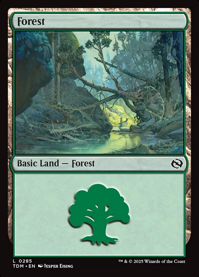 Forest 285/291 (Tarkir: Dragonstorm)  - Foil