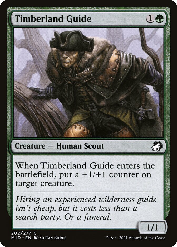 Timberland Guide 202/277 (Innistrad: Midnight Hunt)  - Foil