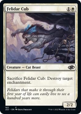 Felidar Cub 183 (Jumpstart 2022) 
