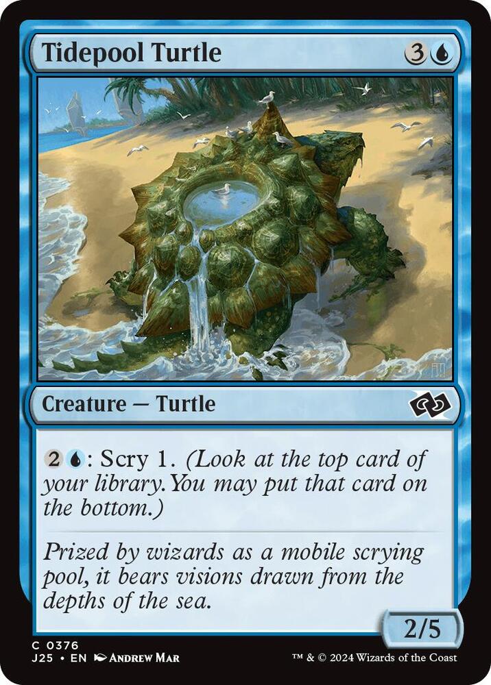 Tidepool Turtle 376/779 (Foundations Jumpstart) 