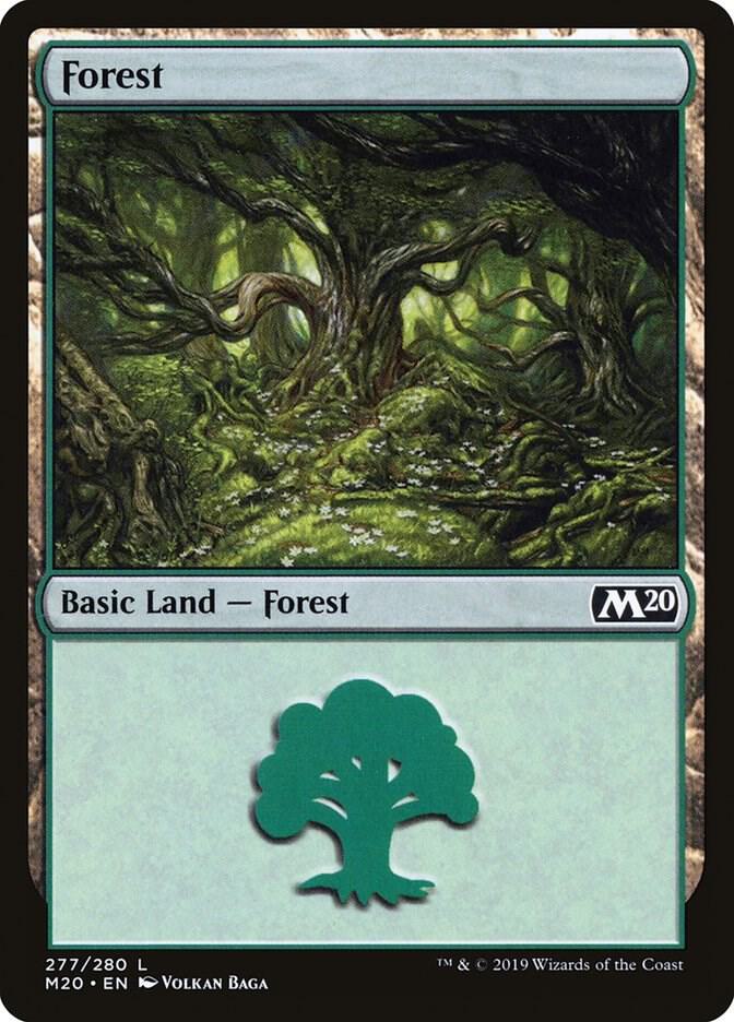 Forest 277/280 (Core Set 2020)  - Foil