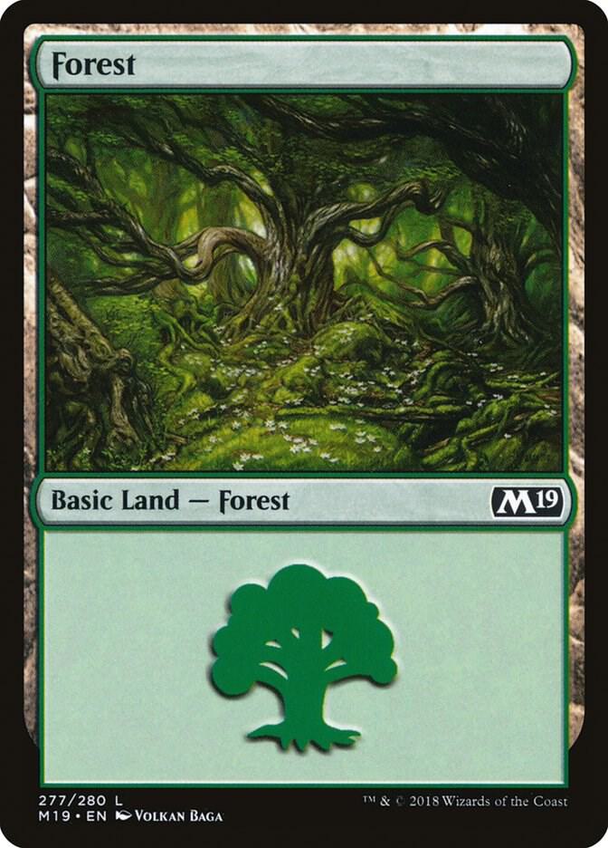 Forest 277/280 (Core Set 2019)  - Foil