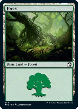 Forest 384 384/277 (Innistrad: Midnight Hunt)  - Foil