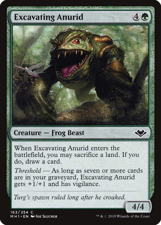 Excavating Anurid 163/254 (Modern Horizons)  - Foil