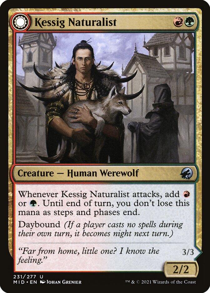 Kessig Naturalist // Lord of the Ulvenwald 231 (Innistrad: Midnight Hunt)  - Foil