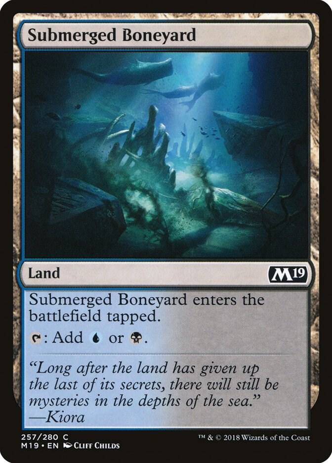 Submerged Boneyard 257/280 (Core Set 2019) 