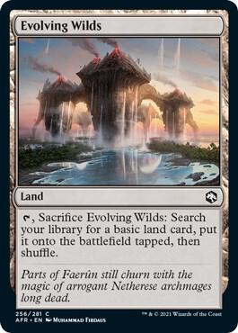 Evolving Wilds 256 (Adventures in the Forgotten Realms) 
