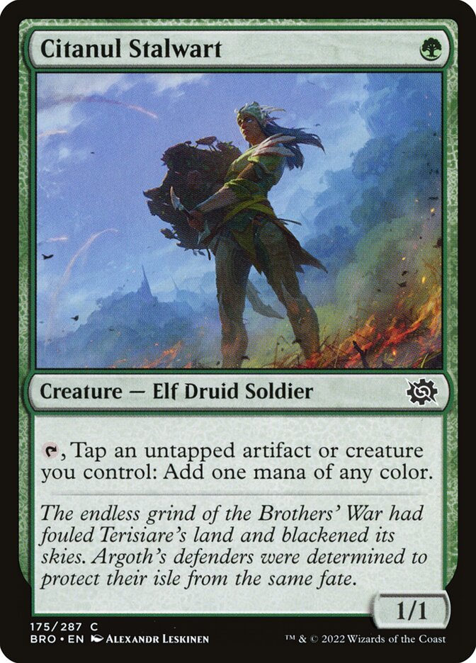 Citanul Stalwart 175 (The Brothers' War)  - Foil