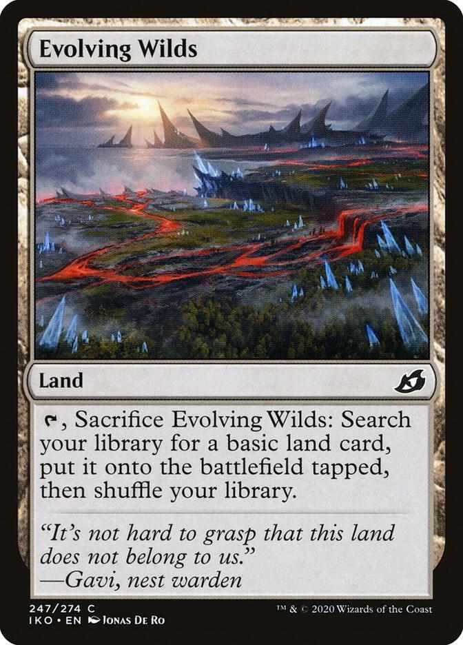 Evolving Wilds 247/274 (Ikoria: Lair of Behemoths)  - Foil